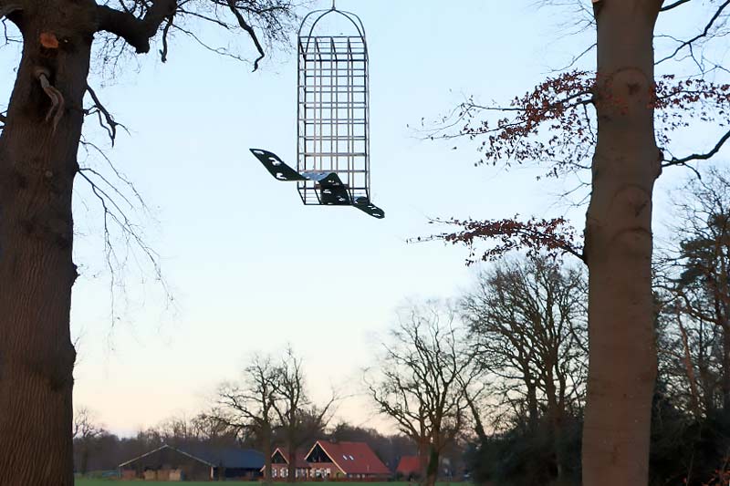 Freulespoor kooi met schaal in Diepenheim