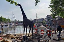  Terugplaatsing van de giraf van Henk Visch in Dordrecht.