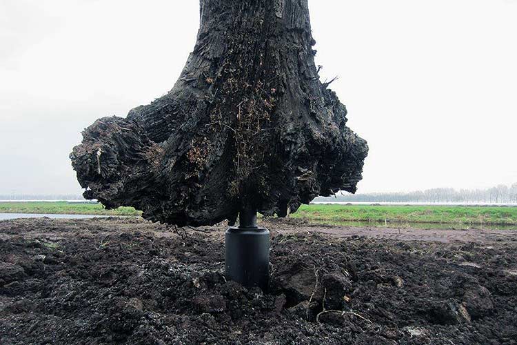 Het project veeneiken wordt als deelproject gerealiseerd binnen het grotere kader van het