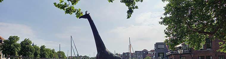 Herplaatsing van de giraf van Henk Visch in Dordrecht.