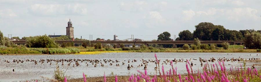 IJsselbiënnale 2017 - een kunstevenement dat plaatsvindt van 14 juni tot en met 24 september met steun van Segno d'Arte.