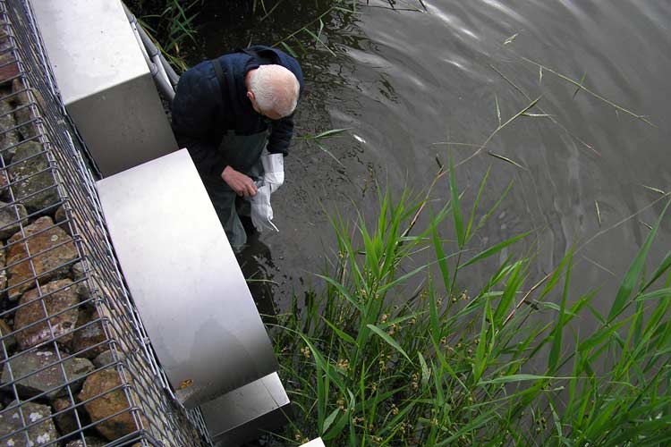 Onderhoud in de Gemeente Hellevoetsluis. Verwijderen riet vóór het beeld Ravenspark.